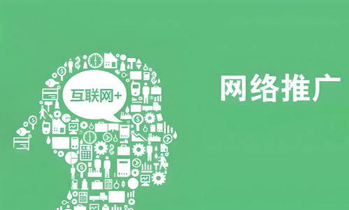 互聯(lián)網(wǎng)推廣中的網(wǎng)絡(luò)文化經(jīng)營 策略與實踐