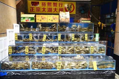 水產市場“慢搖”有方 魚美人打“上位”牌，珍寶水產如何做到物美價穩？\n踩著薩克斯的慵懶節奏，經營者有自己的經營慢哲學與數字監管快速響應器的平衡樂趣。這或許也正是這座城市獨一無二的‘慢火得臻味’
